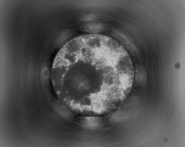 X0000103900371200810311415