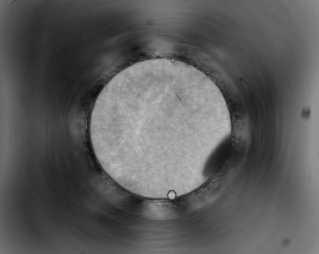 X0000103900372200810311415