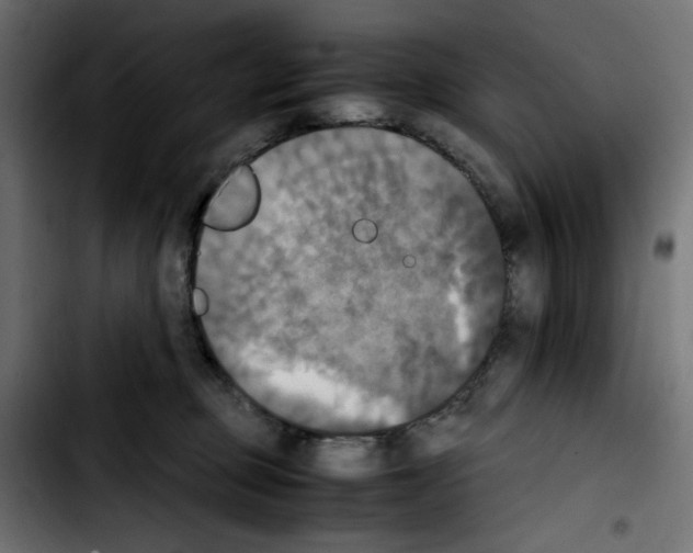 X0000103900373200810311415