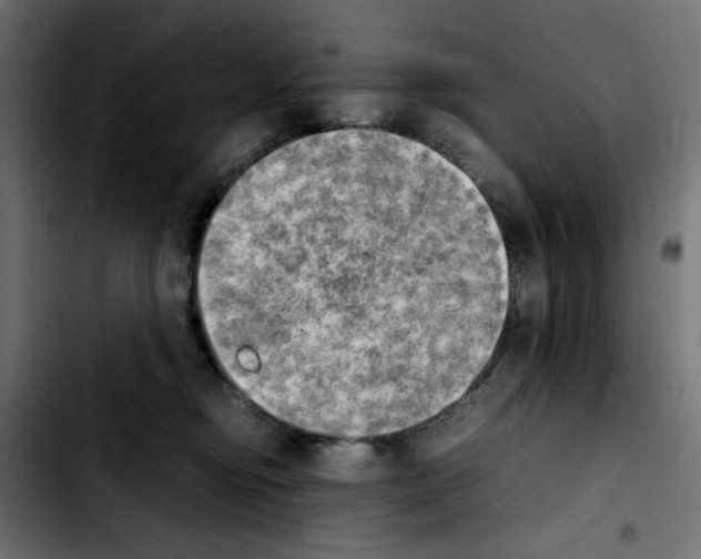 X0000103900374200810311415