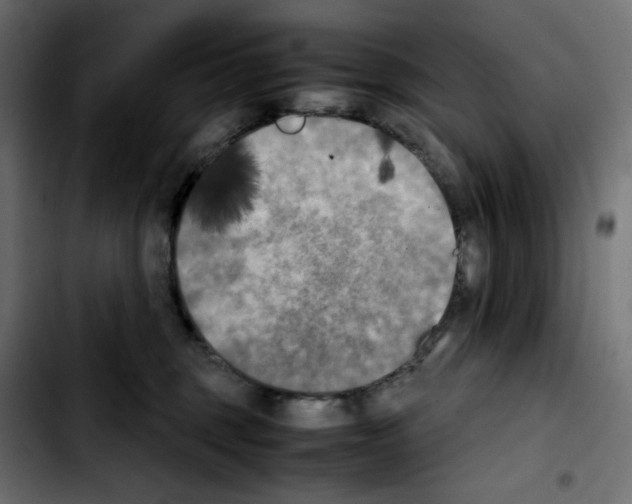 X0000103900375200810311415