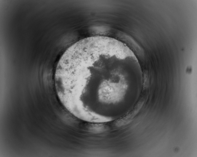 X0000103900377200810311415