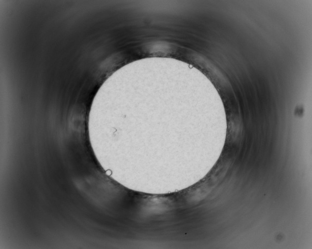 X0000103900379200810311415