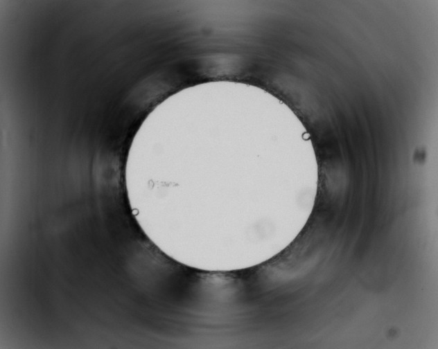 X0000103900380200810311415