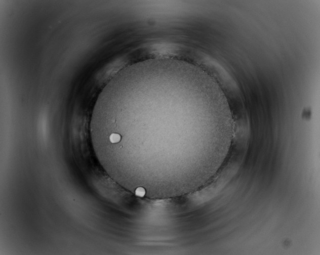 X0000103900382200810311415