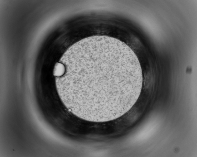 X0000103900383200810311415