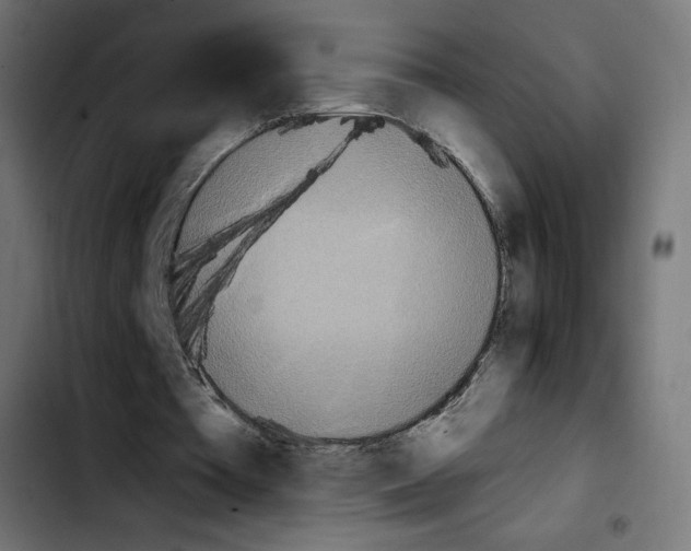 X0000103900385200810311414