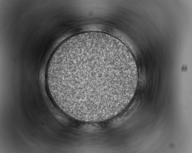 X0000103900386200810311414