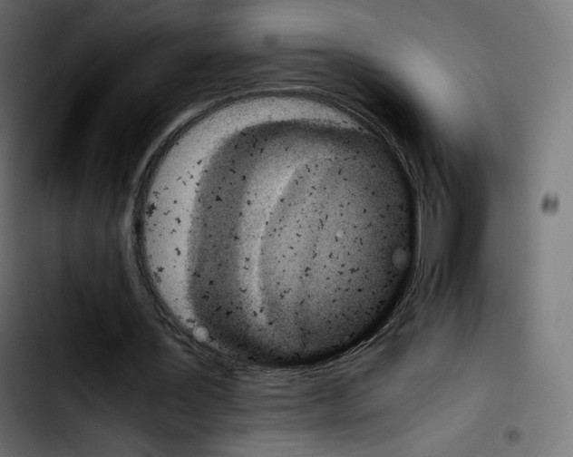 X0000103900387200810311414