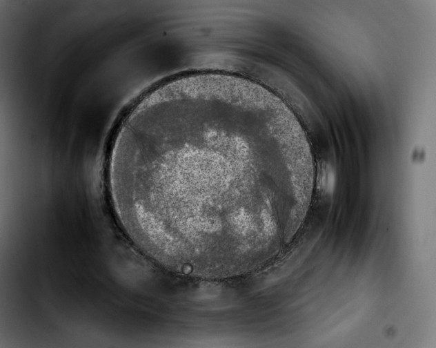 X0000103900388200810311414