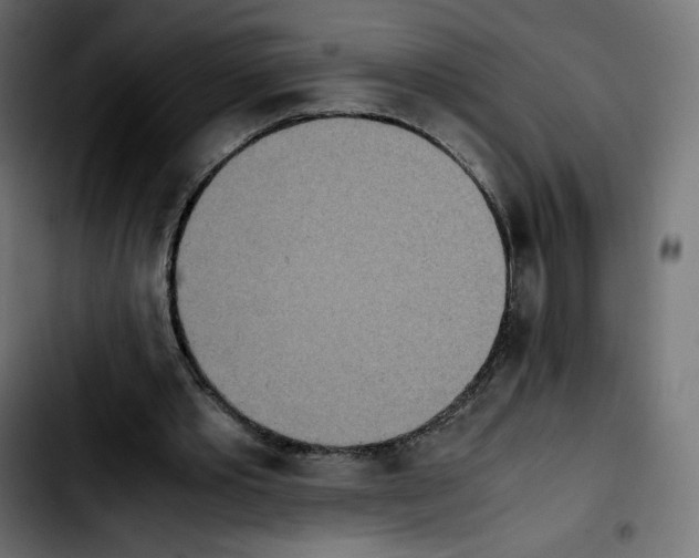 X0000103900389200810311414