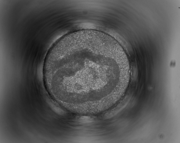 X0000103900390200810311414