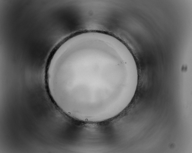 X0000103900391200810311414