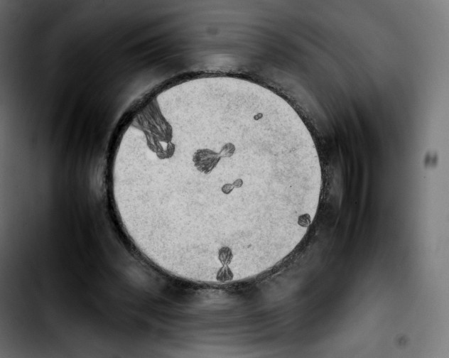 X0000103900392200810311414