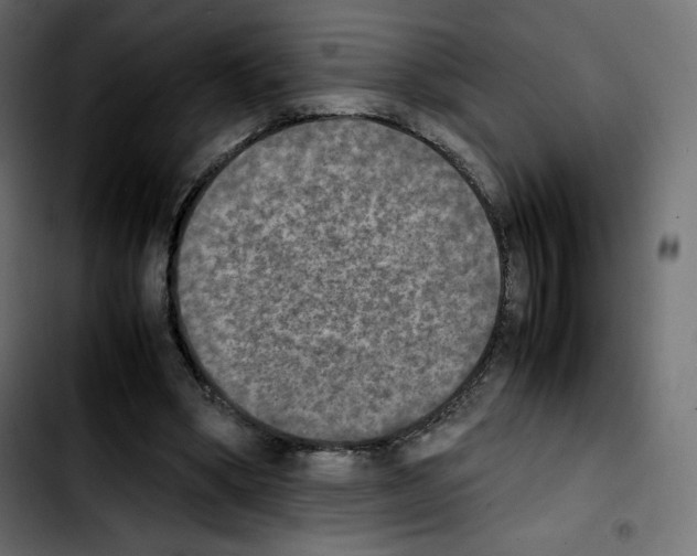 X0000103900394200810311414