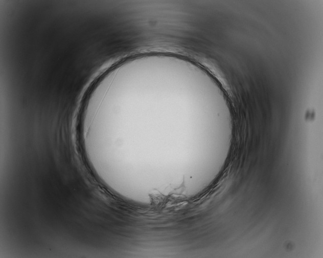 X0000103900395200810311414