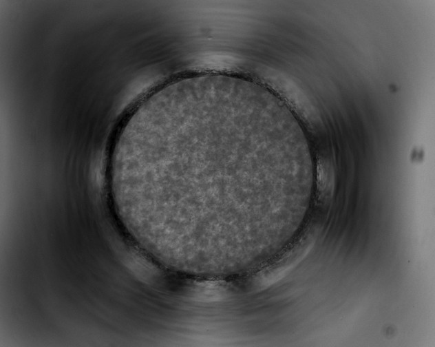 X0000103900396200810311414