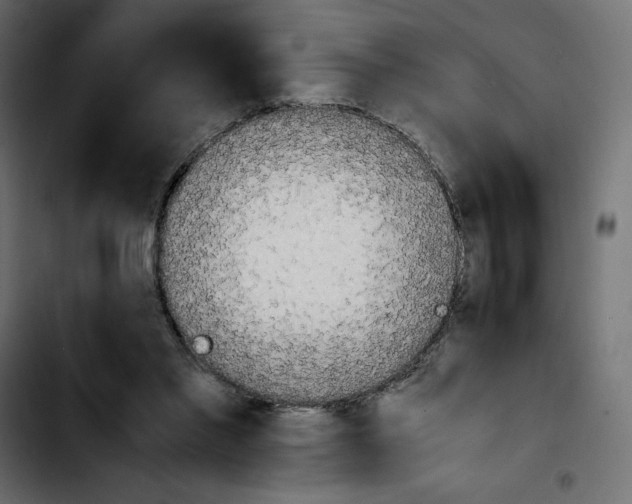 X0000103900397200810311414