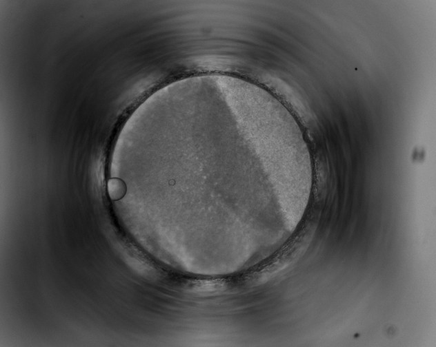 X0000103900398200810311414