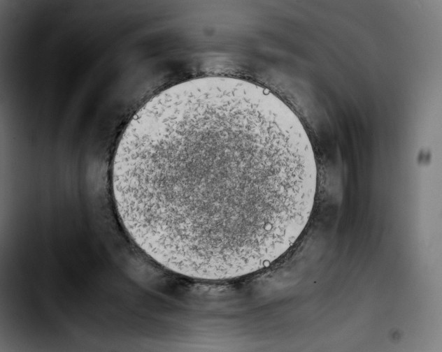 X0000103900401200810311414