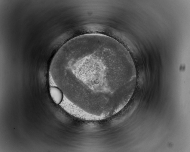 X0000103900402200810311414