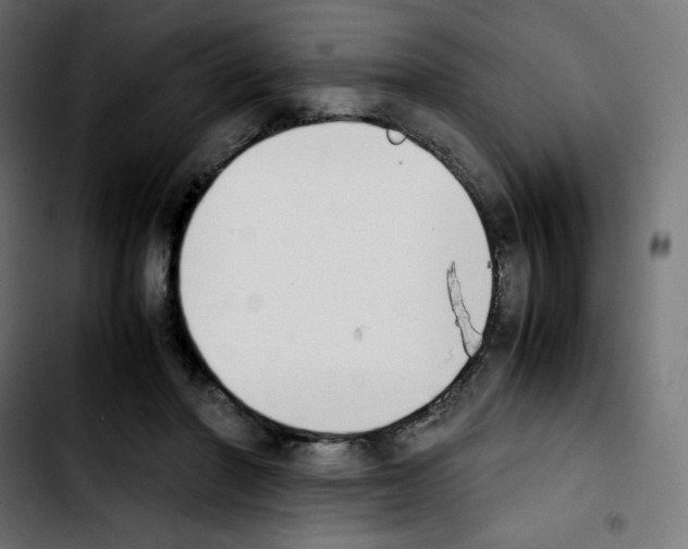 X0000103900406200810311414