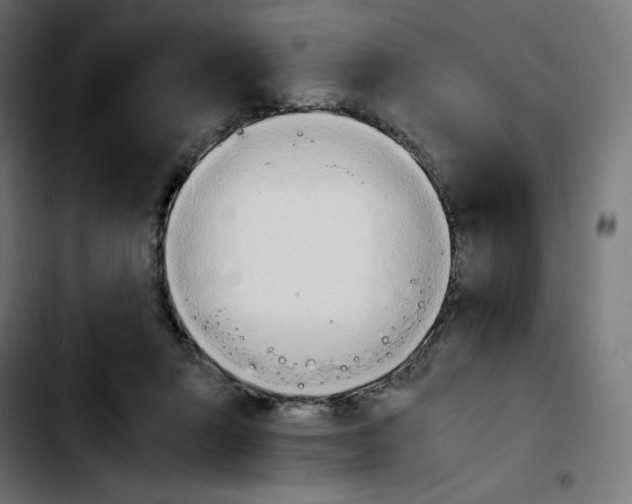 X0000103900407200810311414