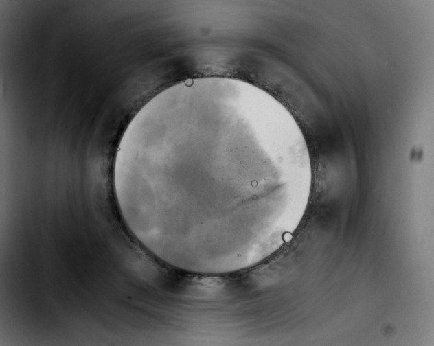 X0000103900409200810311414