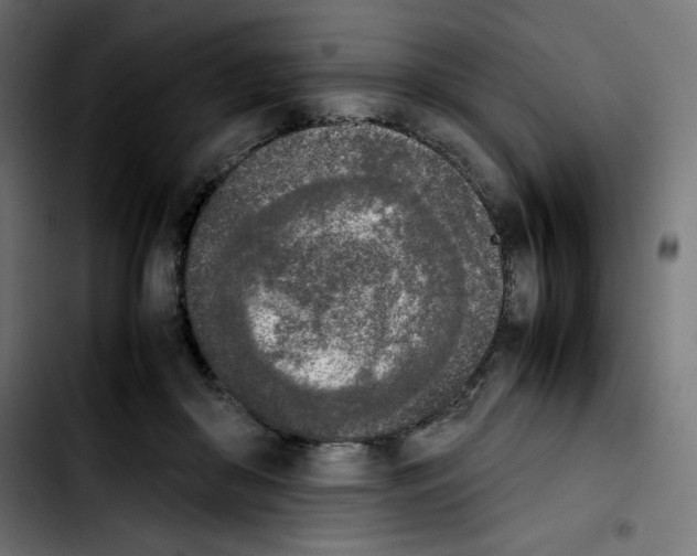 X0000103900410200810311414