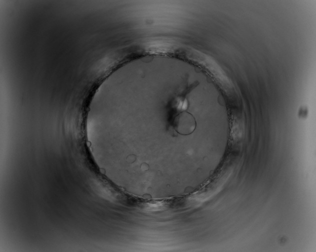 X0000103900411200810311414