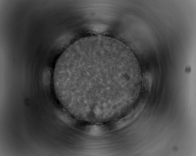 X0000103900412200810311414