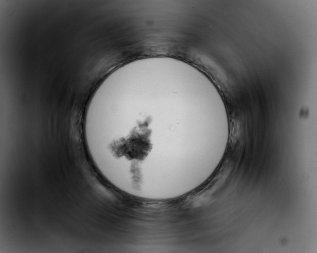 X0000103900414200810311414