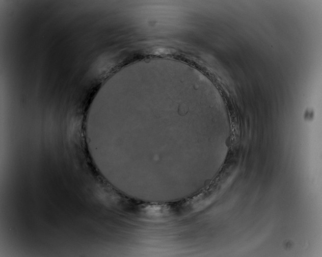 X0000103900415200810311414