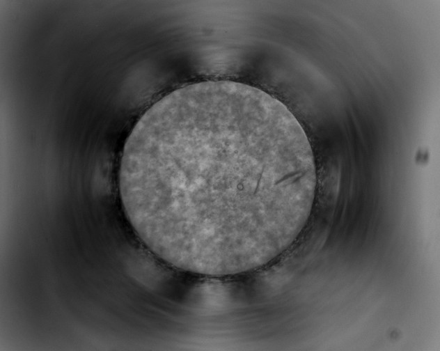 X0000103900416200810311414