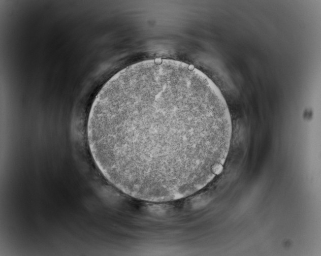 X0000103900417200810311414