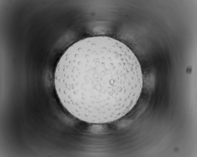 X0000103900418200810311414