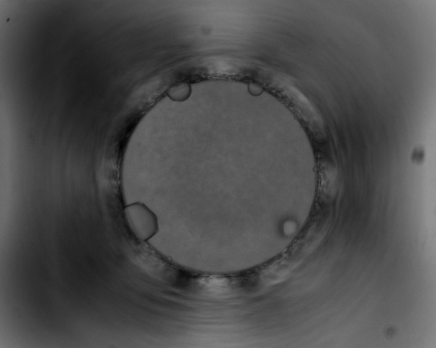 X0000103900419200810311414