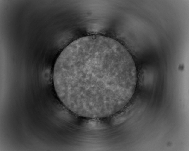 X0000103900420200810311414