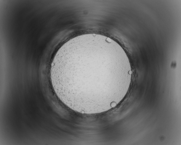 X0000103900421200810311414