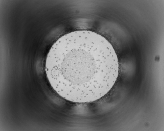 X0000103900422200810311414