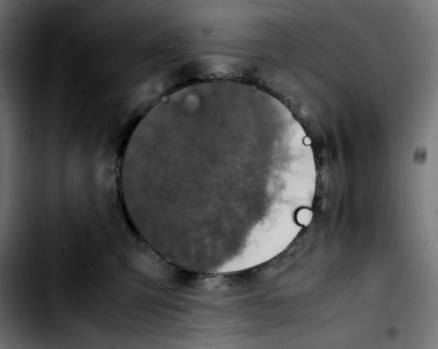 X0000103900423200810311414