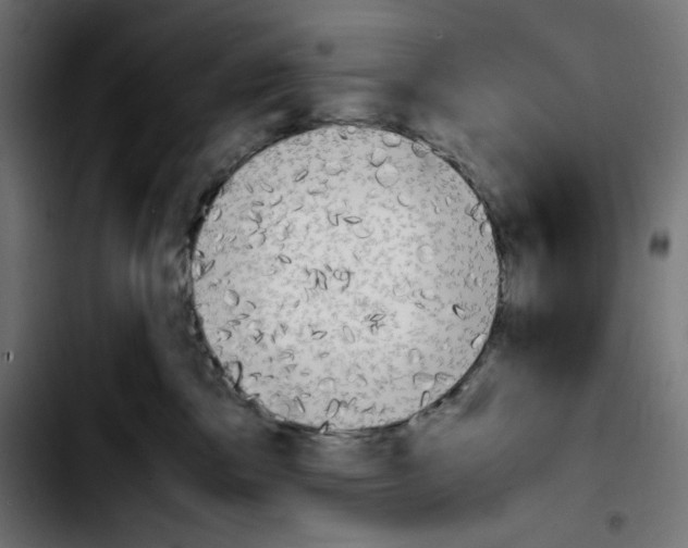 X0000103900425200810311414