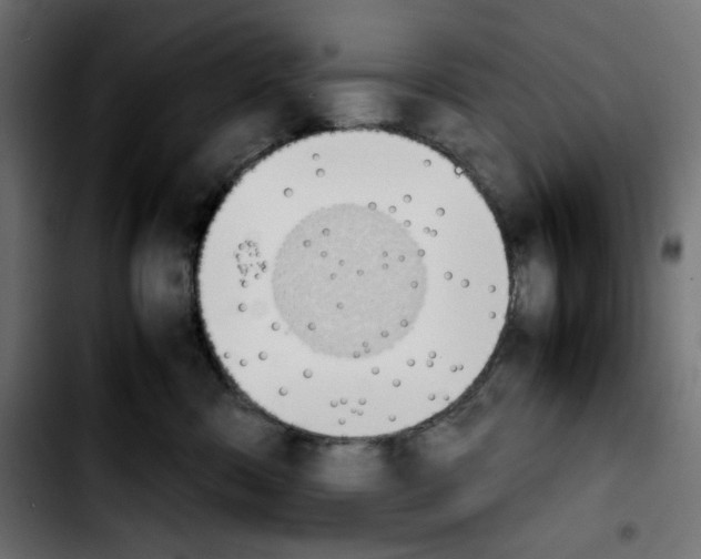 X0000103900426200810311414