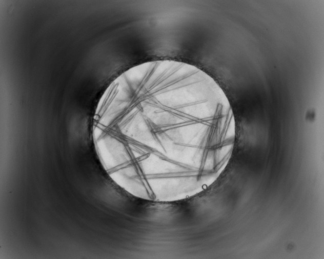 X0000103900428200810311414