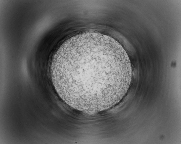 X0000103900429200810311414