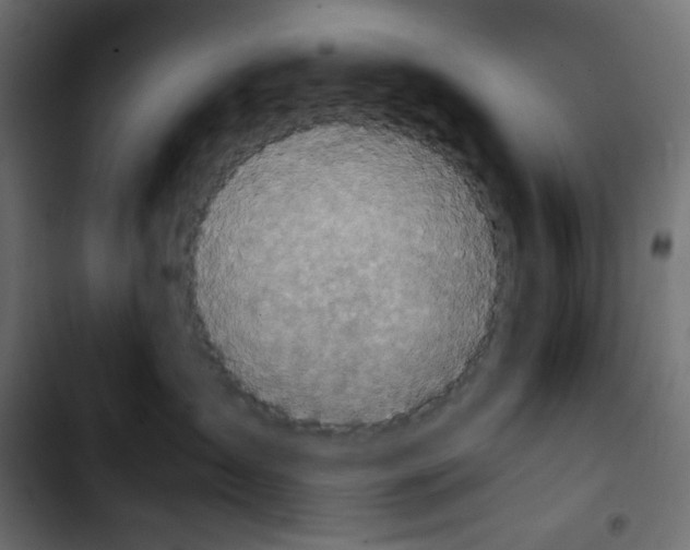 X0000103900431200810311414