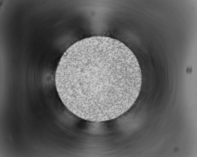 X0000103900432200810311414