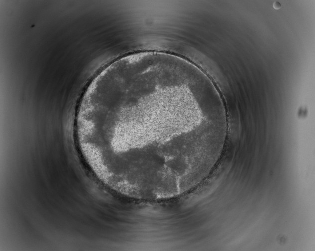 X0000103900434200810311413