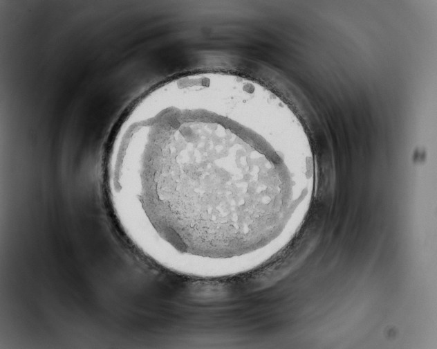 X0000103900435200810311413