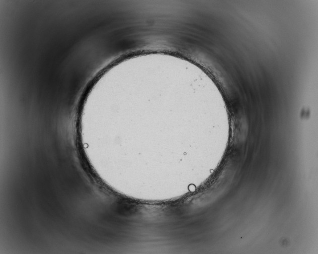 X0000103900436200810311413